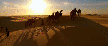 共同譜寫中國-中亞關系美好明天