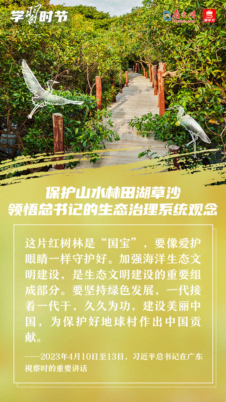學習時節｜保護山水林田湖草沙 領悟總書記的生態治理系統觀念