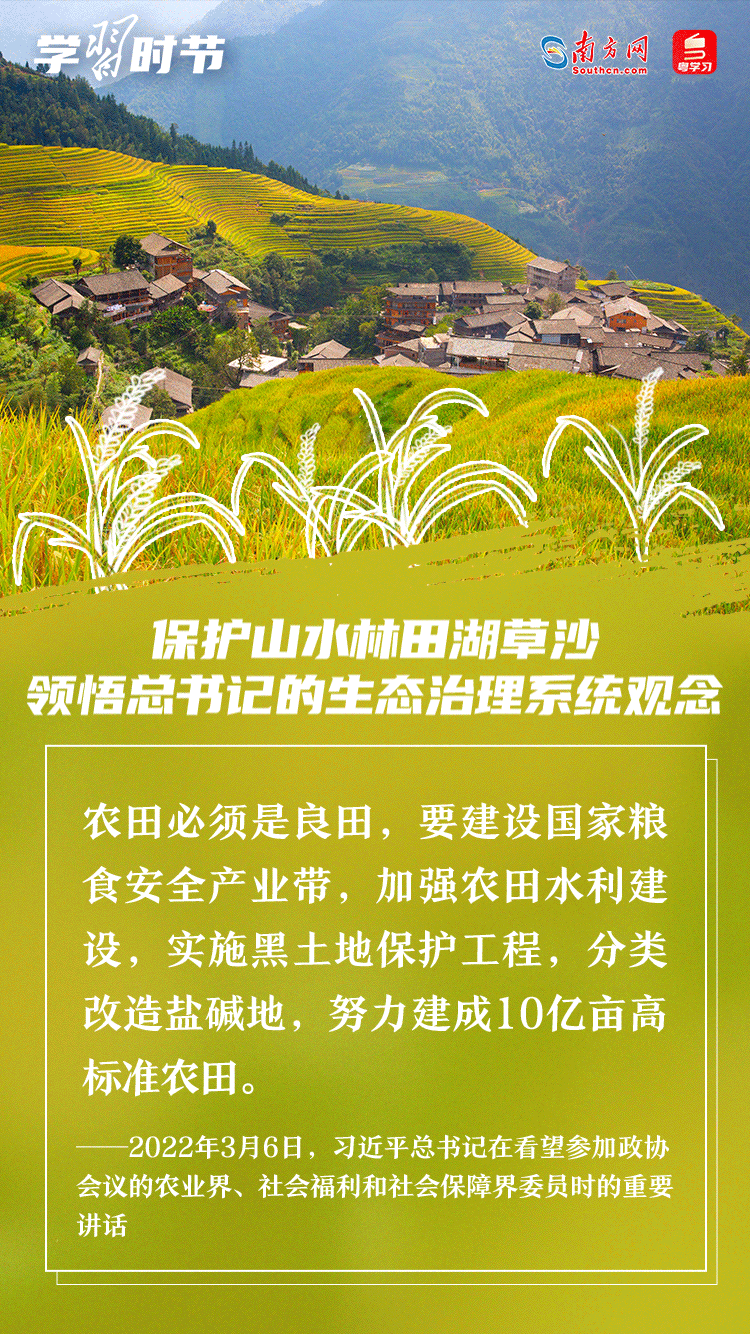 學習時節｜保護山水林田湖草沙 領悟總書記的生態治理系統觀念