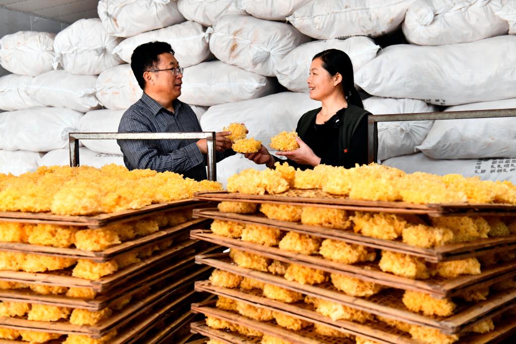 讓世界讀懂中國共產黨——中共十九屆六中全會引國際熱議