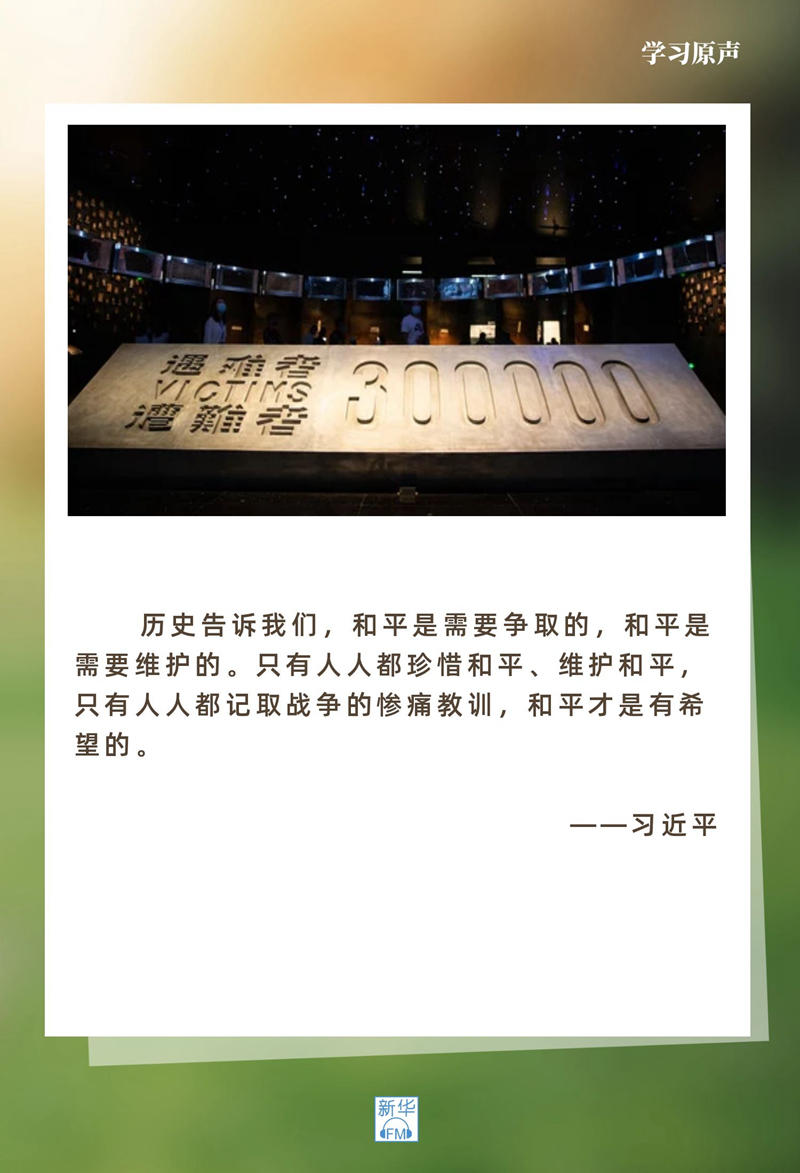 走和平發展道路!總書記“金句”指明方向