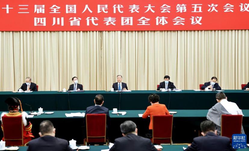 汪洋在參加四川代表團審議時強調 以史為鑒堅定信心 團結一致開創未來