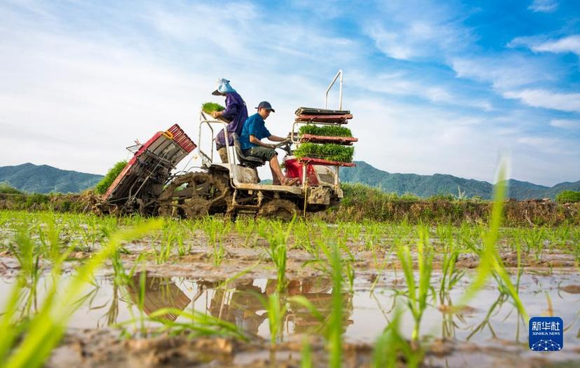 當前中國經(jīng)濟十問