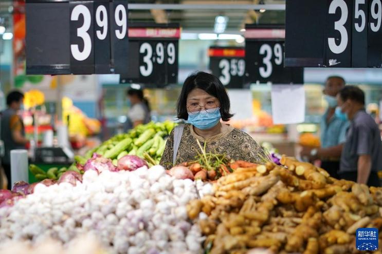 習近平總書記引領高效統籌疫情防控和經濟社會發展述評