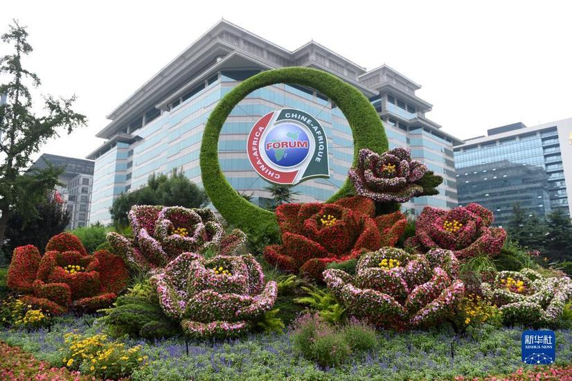 服務民族復興 促進人類進步——黨的十八大以來中國特色大國外交全方位開展