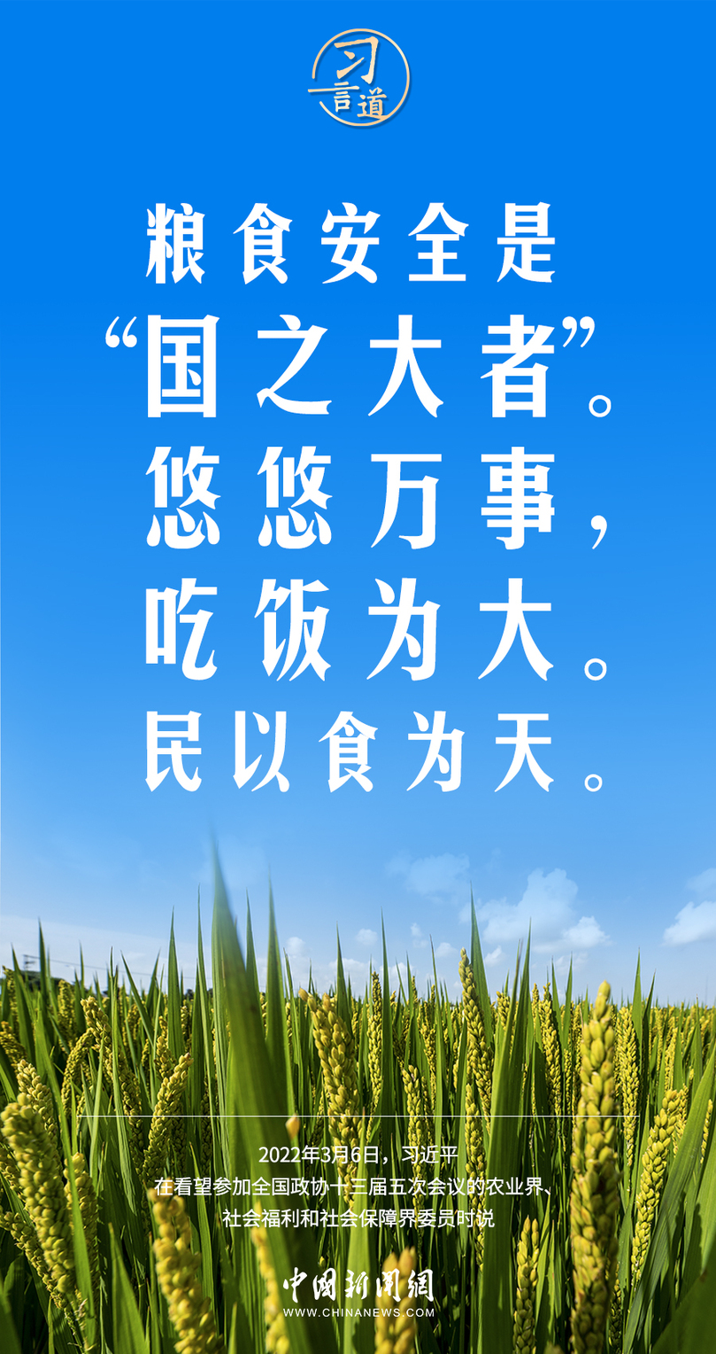 習(xí)言道｜糧食安全是“國之大者”