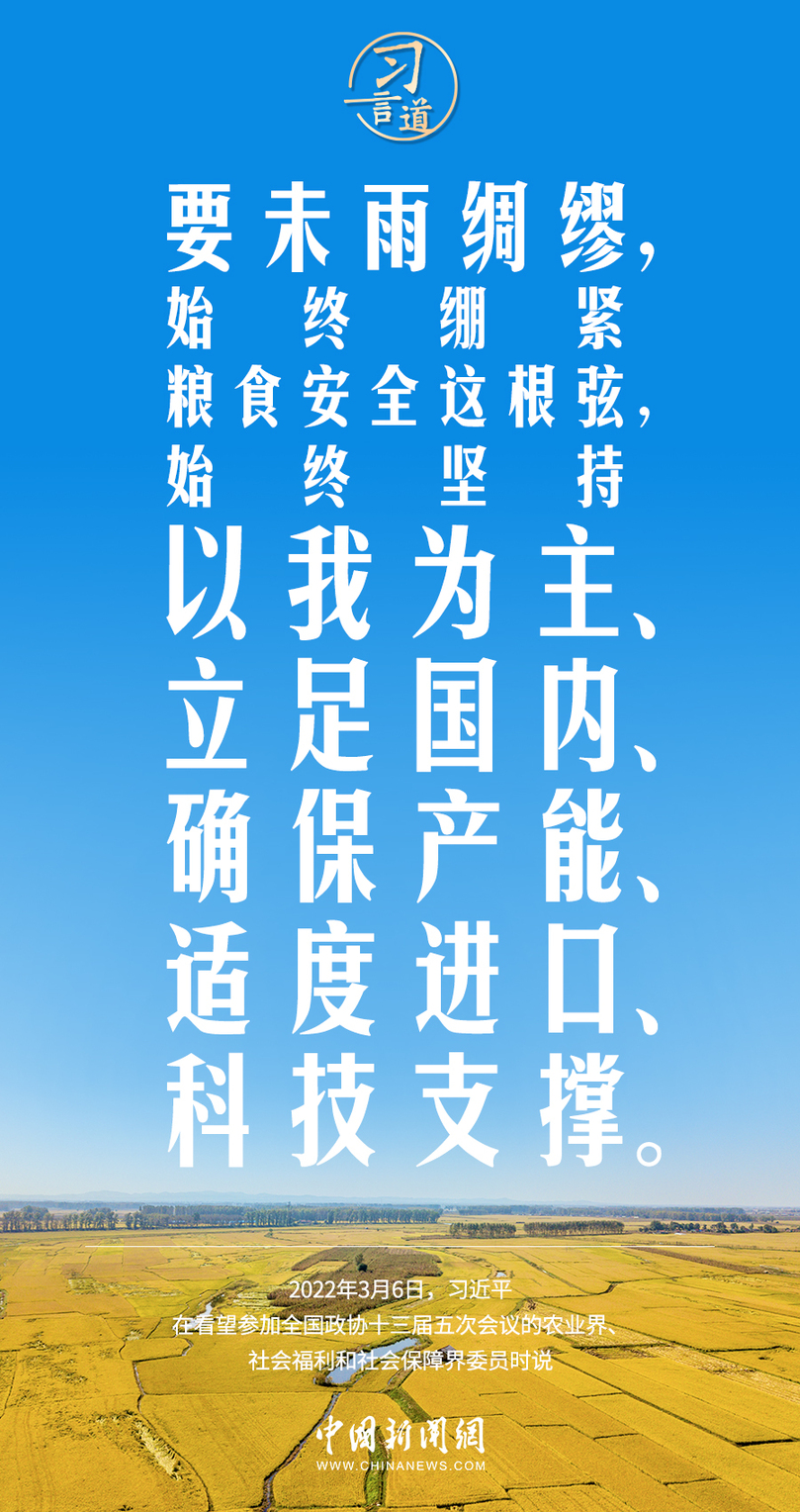 習(xí)言道｜糧食安全是“國之大者”