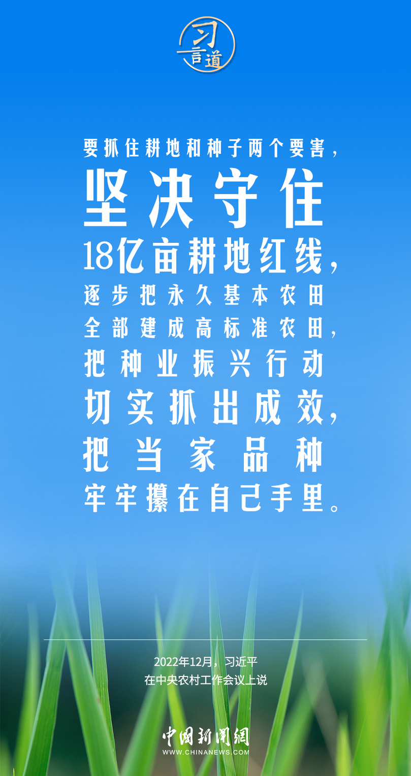 習(xí)言道｜糧食安全是“國之大者”