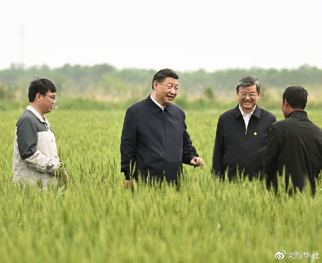 習近平在滄州市考察調研