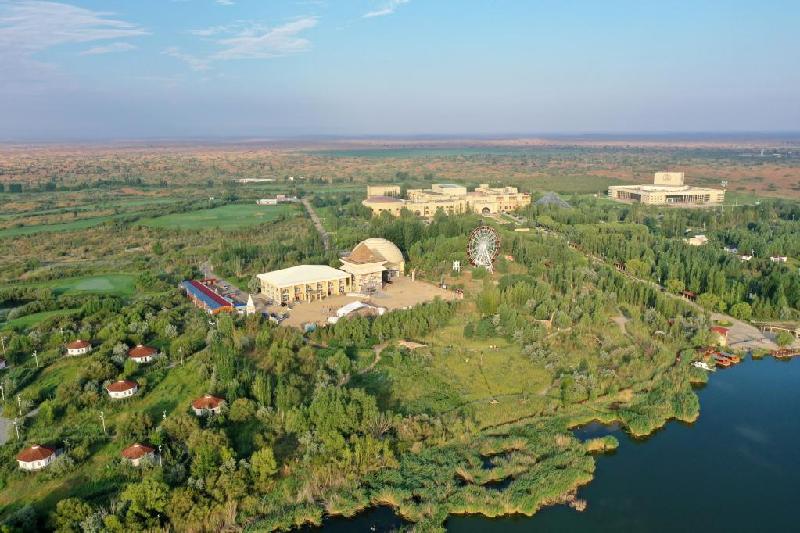 潮頭觀瀾丨祖國北疆的綠色答卷