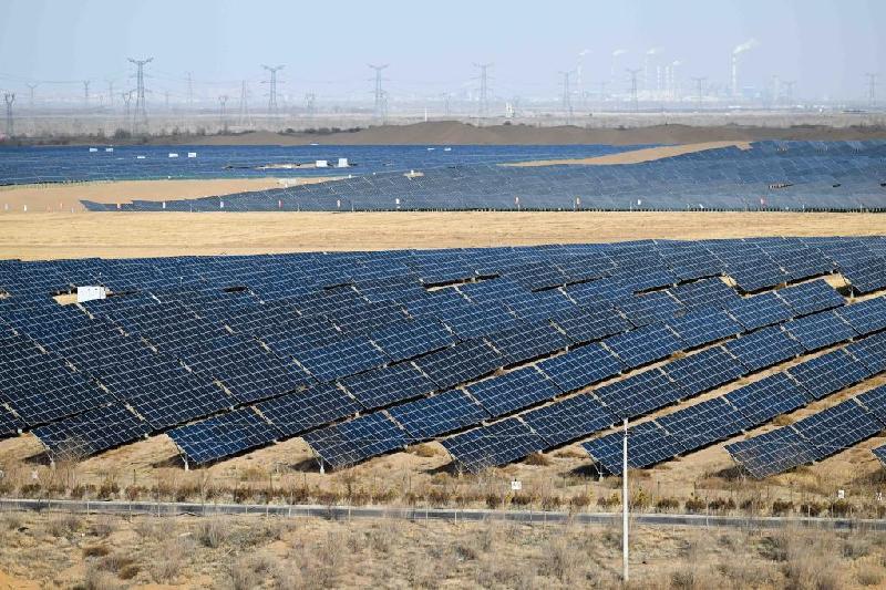 潮頭觀瀾丨祖國北疆的綠色答卷