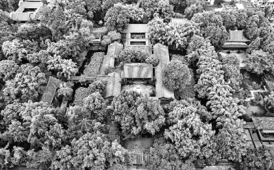 鑄就中華文化新輝煌