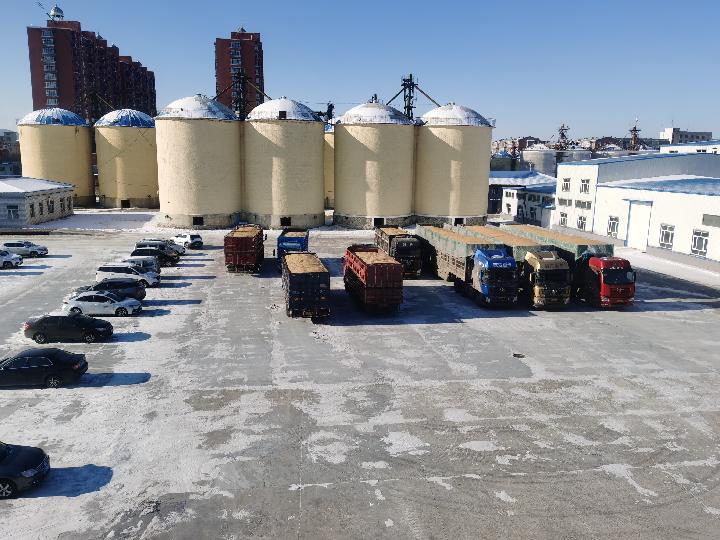 全面開秤 高開穩走——全國多地秋糧收購一線見聞