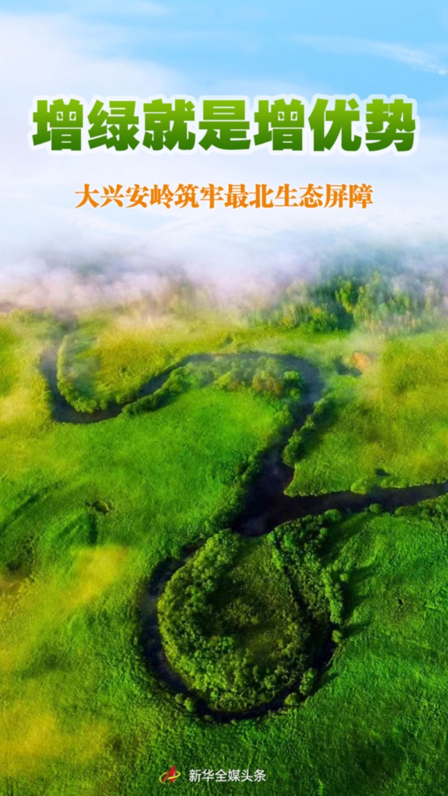 增綠就是增優勢——大興安嶺筑牢最北生態屏障