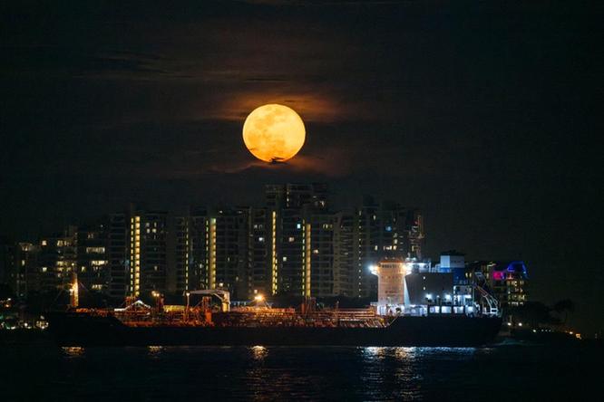 共繪亞太下一個(gè)“黃金三十年”光明前景——國際社會(huì)高度評(píng)價(jià)習(xí)近平主席出席亞太經(jīng)合組織第三十一次領(lǐng)導(dǎo)人非正式會(huì)議