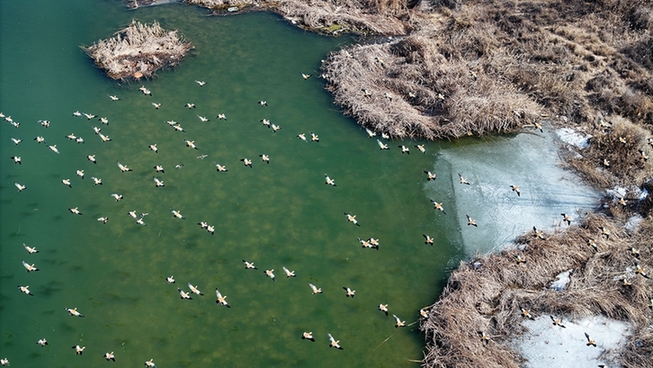 “兩山”理念改變中國引領時代