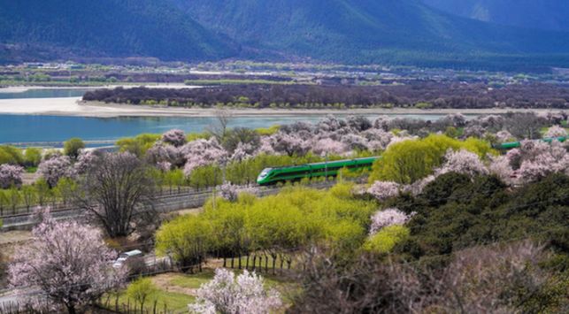 抓好“四件大事” 譜寫高原新篇