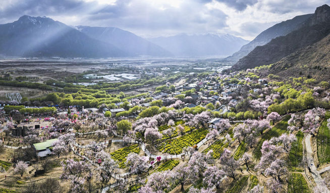 抓好“四件大事” 譜寫高原新篇