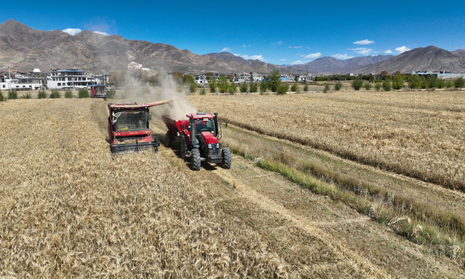 抓好“四件大事” 譜寫高原新篇
