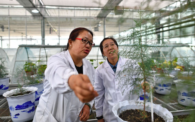 抓好“四件大事” 譜寫高原新篇