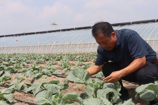 細節里的“和合與共”