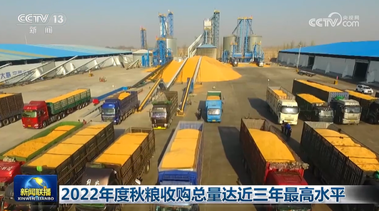 2022年度秋糧收購總量達(dá)近三年最高水平 2022年度秋糧收購總量達(dá)近三年最高水平