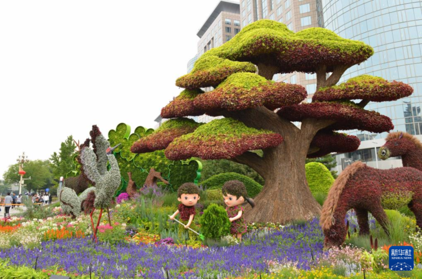北京:花團錦簇迎國慶