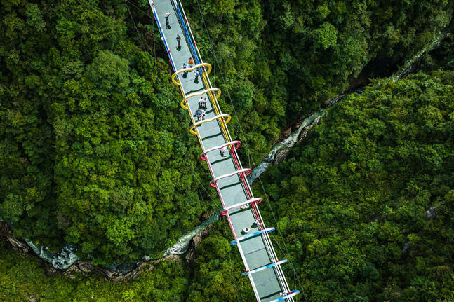 打造更強勁的消費主引擎——當前抓改革促發展觀察之二