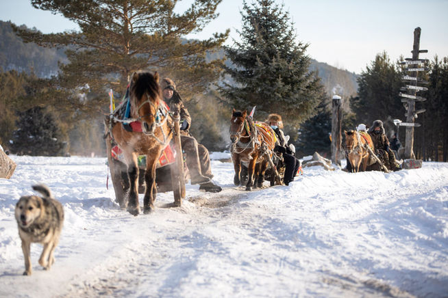 增綠就是增優勢——大興安嶺筑牢最北生態屏障