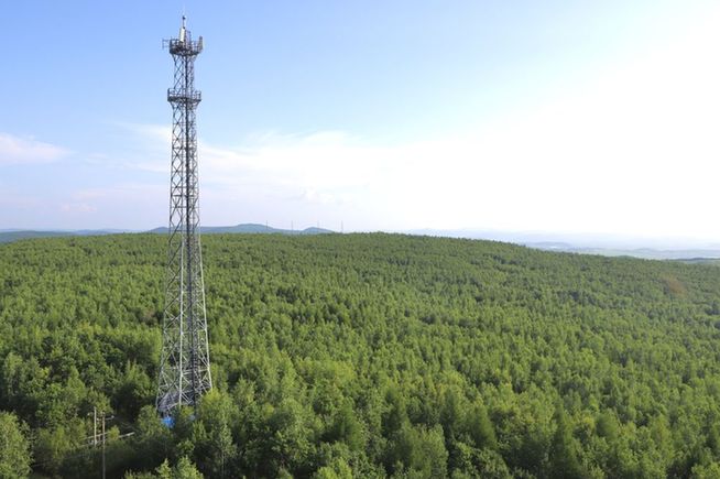 增綠就是增優勢——大興安嶺筑牢最北生態屏障