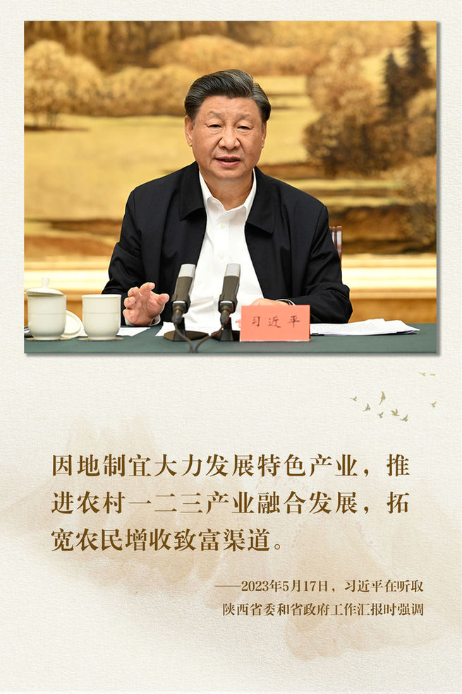 鏡觀·領(lǐng)航丨總書記足跡里的關(guān)切事:特色產(chǎn)業(yè)富鄉(xiāng)村