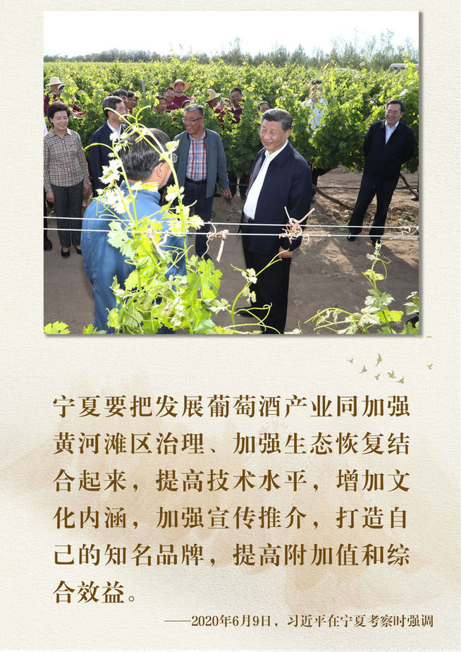 鏡觀·領(lǐng)航丨總書記足跡里的關(guān)切事:特色產(chǎn)業(yè)富鄉(xiāng)村