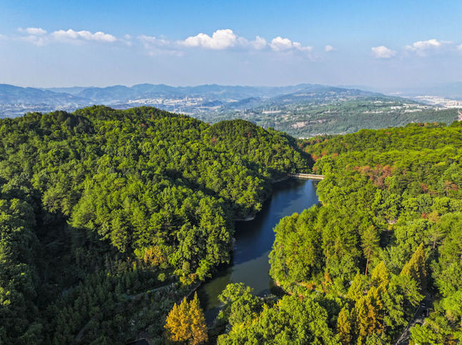 筑牢祖國生態安全屏障——新時代生態文明建設的西部實踐