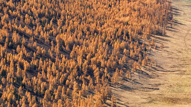 筑牢祖國生態安全屏障——新時代生態文明建設的西部實踐
